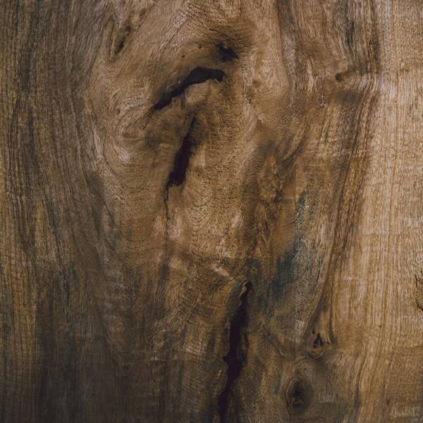 Brown maple